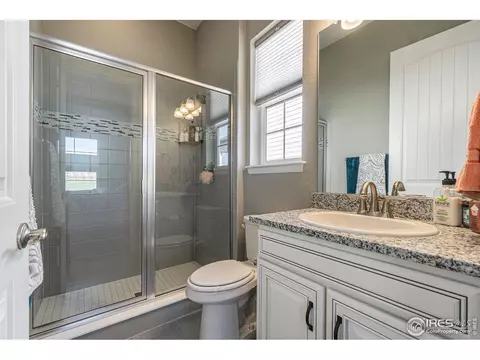 1384 Wolfhound St, Timnath, CO 80547 photo 22