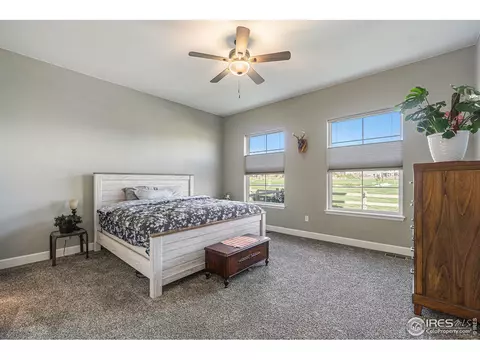 1384 Wolfhound St, Timnath, CO 80547 photo 19