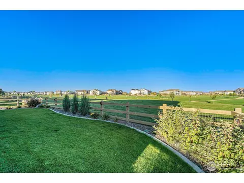 1384 Wolfhound St, Timnath, CO 80547 photo 29