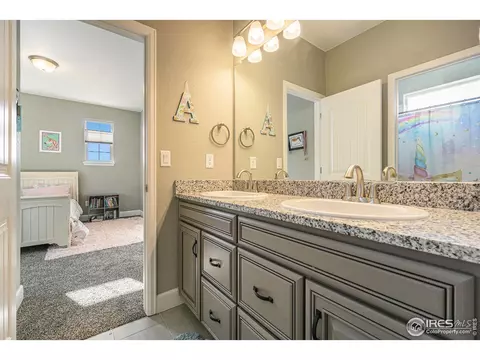 1384 Wolfhound St, Timnath, CO 80547 photo 28