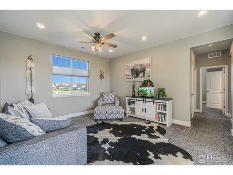 1384 Wolfhound St, Timnath, CO 80547 photo 24