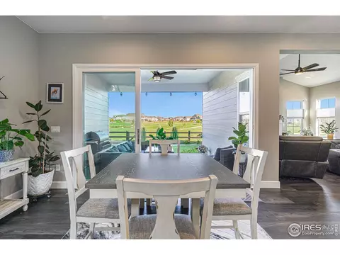 1384 Wolfhound St, Timnath, CO 80547 photo 10