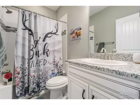 1384 Wolfhound St, Timnath, CO 80547 photo 25