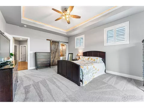 949 Iron Wheel Dr, Windsor, CO 80550 photo 20