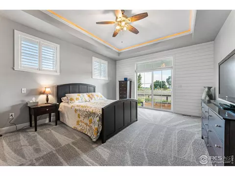 949 Iron Wheel Dr, Windsor, CO 80550 photo 18