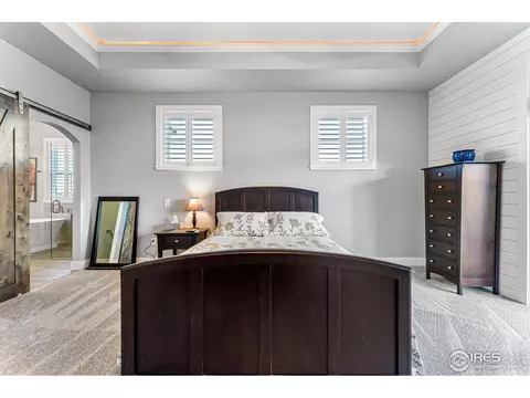 949 Iron Wheel Dr, Windsor, CO 80550 photo 19