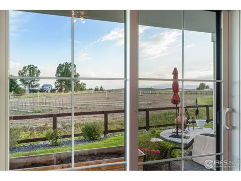 949 Iron Wheel Dr, Windsor, CO 80550 photo 21