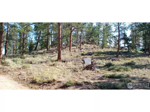 Apache Trl, Red Feather Lakes, CO 80545 photo 4