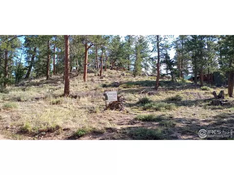 Apache Trl, Red Feather Lakes, CO 80545 photo 3