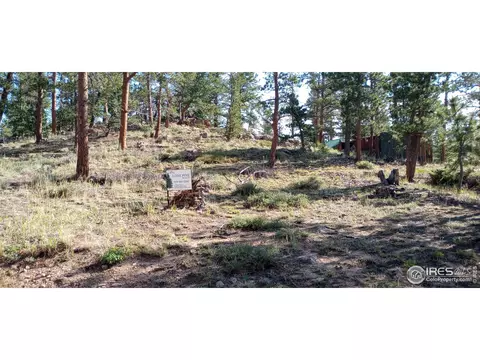 Apache Trl, Red Feather Lakes, CO 80545 photo 8