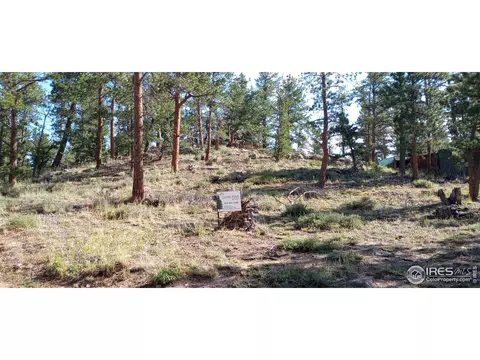 Apache Trl, Red Feather Lakes, CO 80545 photo 2