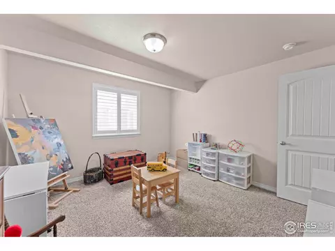 460 Wind River Dr, Windsor, CO 80550 photo 25