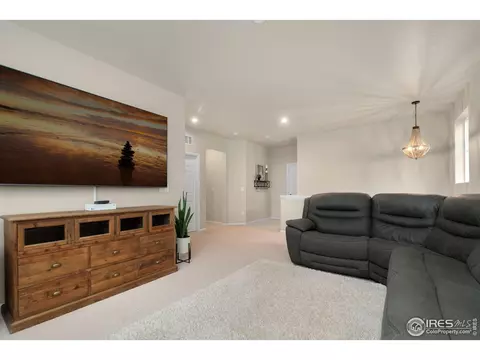 7090 E 121st Pl, Thornton, CO 80602 photo 18