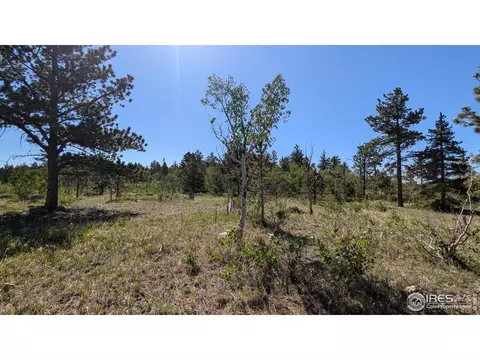 264 Huron Rd, Red Feather Lakes, CO 80545