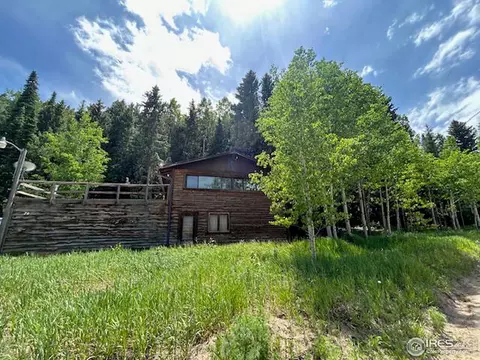 79 Beaver Creek Dr, Nederland, CO 80466