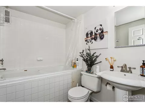 603 Hemlock Dr, Windsor, CO 80550 photo 25