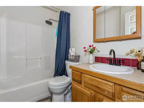 603 Hemlock Dr, Windsor, CO 80550 photo 18