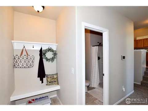 441 Aurelia Dr, Windsor, CO 80550 photo 27
