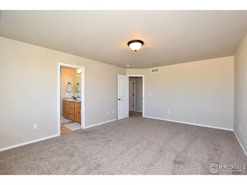 441 Aurelia Dr, Windsor, CO 80550 photo 32
