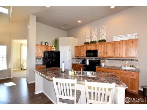 441 Aurelia Dr, Windsor, CO 80550 photo 11