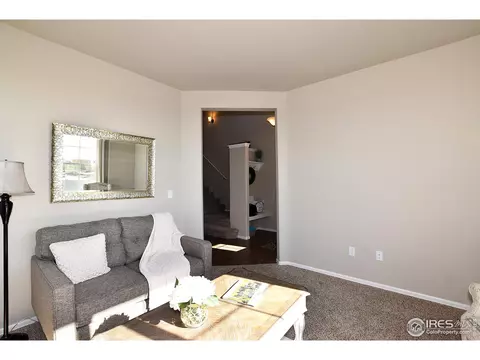441 Aurelia Dr, Windsor, CO 80550 photo 5