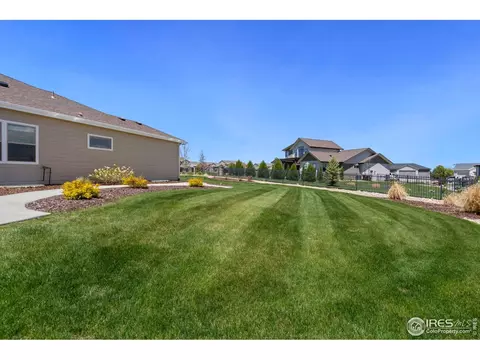 6740 Olympia Fields Ct, Windsor, CO 80550 photo 23