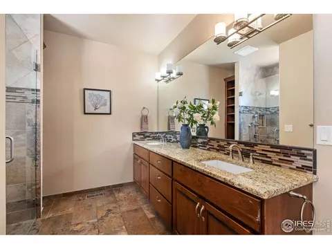 6740 Olympia Fields Ct, Windsor, CO 80550 photo 14