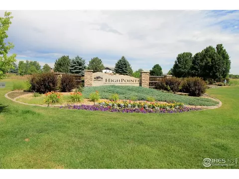 8390 Cherry Blossom Dr, Windsor, CO 80550 photo 40