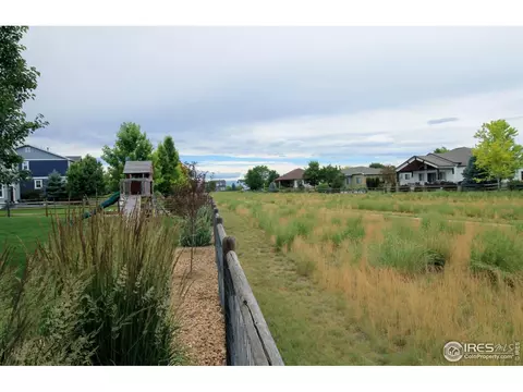 8390 Cherry Blossom Dr, Windsor, CO 80550 photo 31