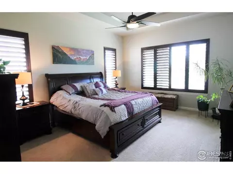 8390 Cherry Blossom Dr, Windsor, CO 80550 photo 16
