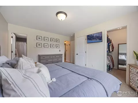 717 Elk Mountain Dr, Windsor, CO 80550 photo 17