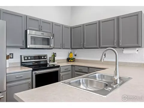 717 Elk Mountain Dr, Windsor, CO 80550 photo 9