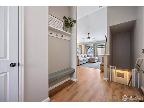 717 Elk Mountain Dr, Windsor, CO 80550 photo 6