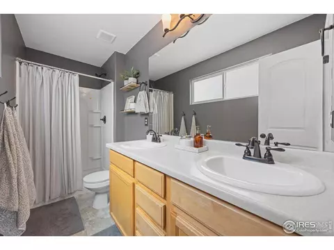 717 Elk Mountain Dr, Windsor, CO 80550 photo 18
