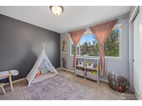 717 Elk Mountain Dr, Windsor, CO 80550 photo 20