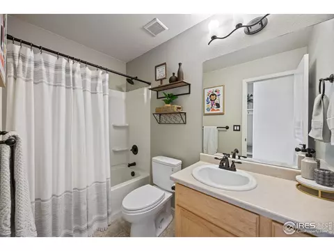 717 Elk Mountain Dr, Windsor, CO 80550 photo 19