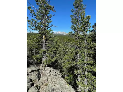 0 Pine Cone Cir #LOT 46, Allenspark, CO 80540