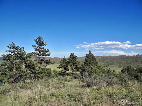 1019 Montcalm Dr, Livermore, CO 80536