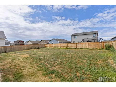 993 Cascade Falls St, Windsor, CO 80550 photo 20