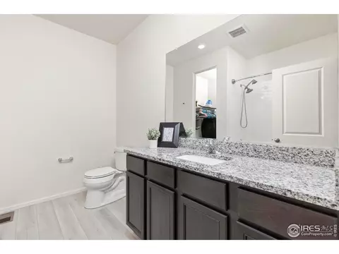 993 Cascade Falls St, Windsor, CO 80550 photo 13