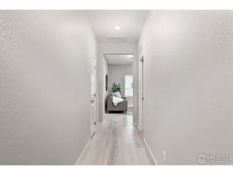993 Cascade Falls St, Windsor, CO 80550 photo 5