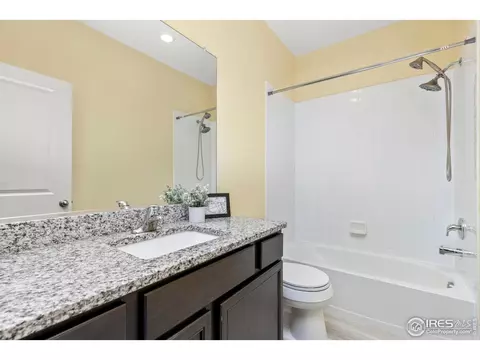 993 Cascade Falls St, Windsor, CO 80550 photo 15