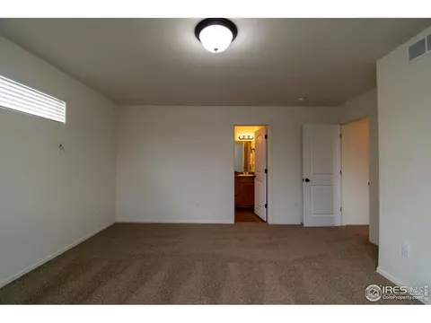 437 Kendalbrook Dr, Windsor, CO 80550 photo 20