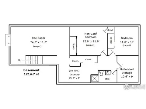 1106 Walnut St, Windsor, CO 80550 photo 35
