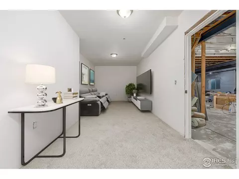 2188 Grain Bin Ct, Windsor, CO 80550 photo 19