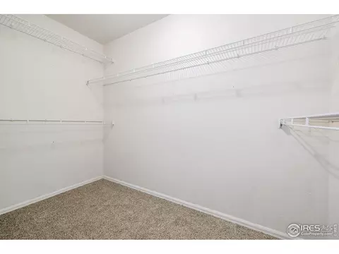 2188 Grain Bin Ct, Windsor, CO 80550 photo 14