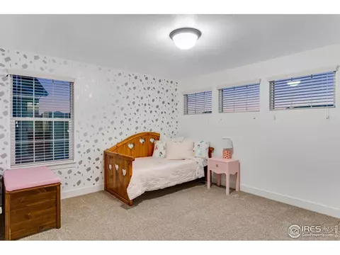 935 Mt Andrew Dr, Windsor, CO 80550 photo 23