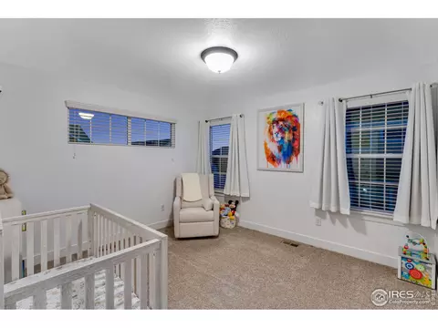 935 Mt Andrew Dr, Windsor, CO 80550 photo 19