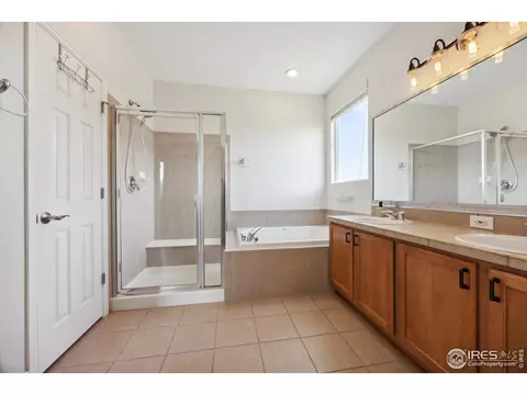 6690 E 129th Pl, Thornton, CO 80602 photo 20