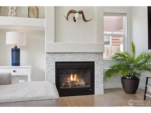 6690 E 129th Pl, Thornton, CO 80602 photo 15